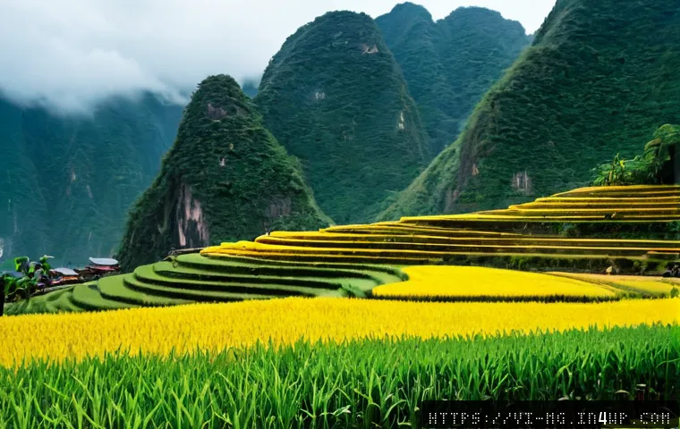 Từ món ăn đường phố đến phim ảnh: cách ẩm thực trở thành biểu tượng văn hóa đại chúng 4 음식 역사 속의 대중문화 관련 이미지 2